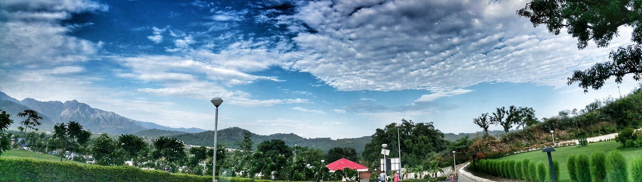 PANORAMIC VIEW OF TREES AND MOUNTAIN AGAINST SKY