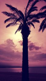 Silhouette tree against sea during sunset