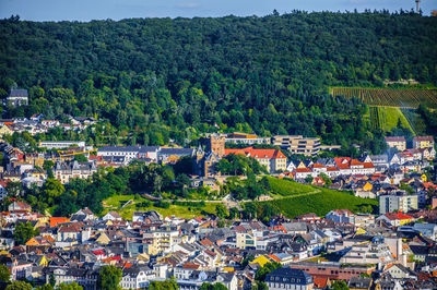 High angle view of houses and trees in town