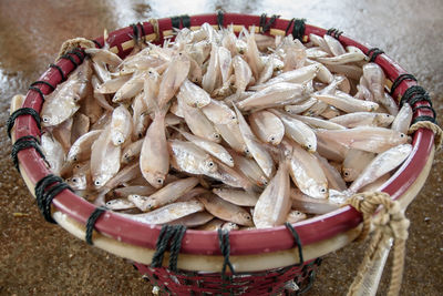 High angle view of eggs in basket