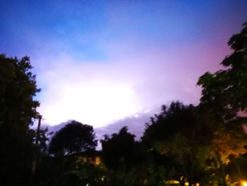 Low angle view of silhouette trees against sky at night