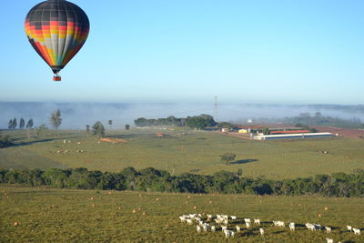 Hot air balloon flying over field