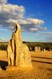 Sheep on rock against sky