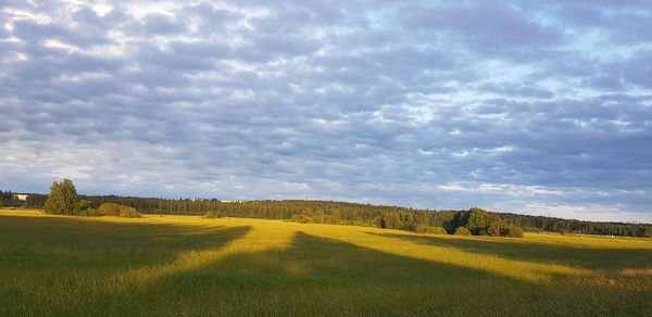 Scenic view of field against sky