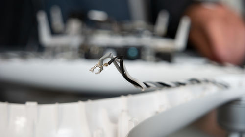 Close-up of crab hanging on rack