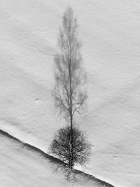 Close-up of bare tree against sky