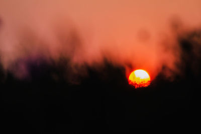 Close-up of bonfire at sunset