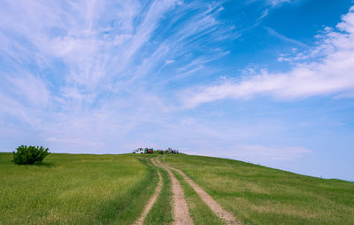 Scenic view of field against sky