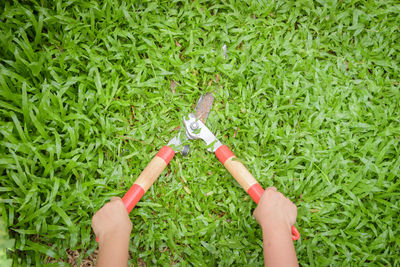 Cropped hands of woman cutting grass