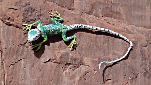 Artificial lizard on wall