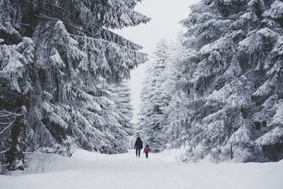 Rear view of people on snow covered landscape