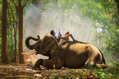 Men sitting in forest