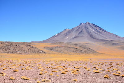 Scenic view of desert against clear blue sky