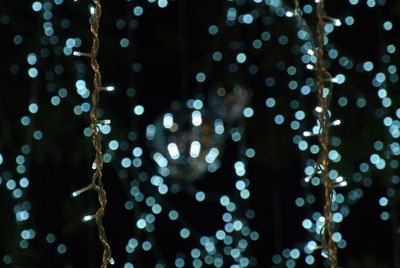 Close-up of illuminated string lights at night