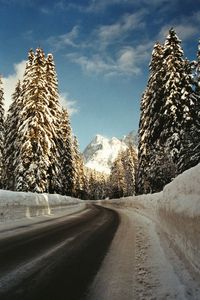 Empty road by trees against sky during winter