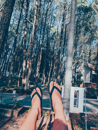 Low section of woman against trees in forest