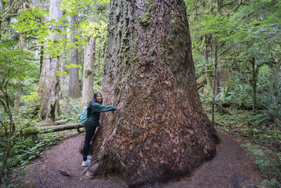 Portrait of young woman standing by tree trunk in forest