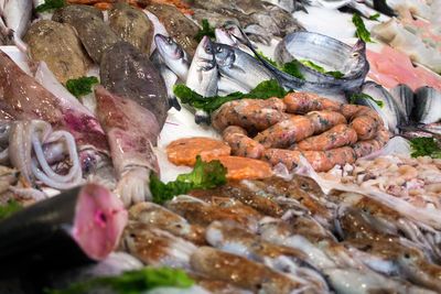 Close-up of fish for sale in market