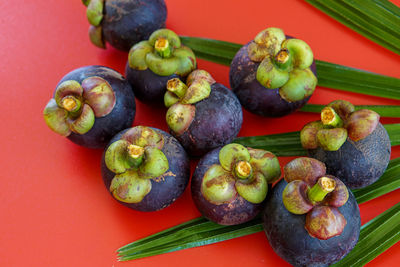 High angle view of fruits