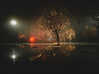 Illuminated trees by lake against sky at night