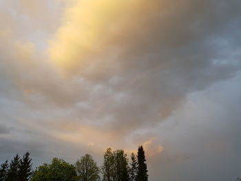 Low angle view of trees against sky during sunset