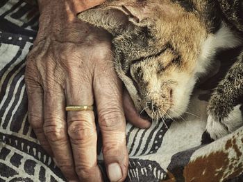 Close-up of hand feeding