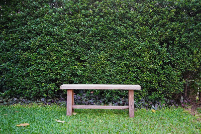 Empty bench in park