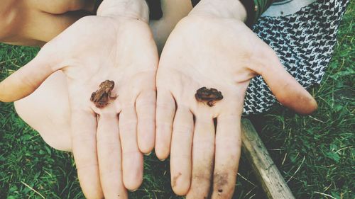 High angle view of baby hand holding grass