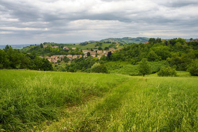 Scenic view of field against sky