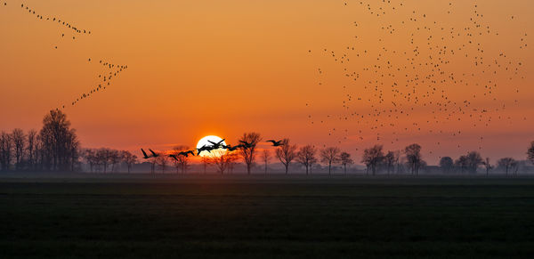 Scenic view of sunset