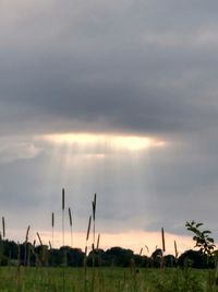 Scenic view of field against cloudy sky