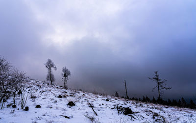 Snow covered land and trees against sky