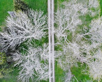 High angle view of snow on land