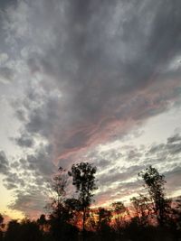 Low angle view of silhouette trees against dramatic sky