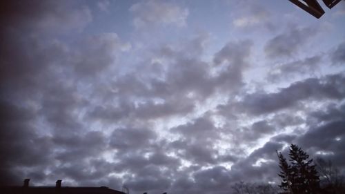 Low angle view of silhouette trees against sky