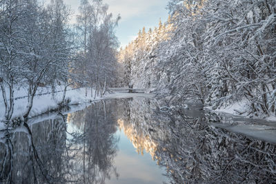 Canal in winter with reflective water