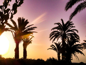 Low angle view of silhouette palm trees against sky during sunset