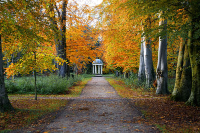 Footpath amidst autumn trees leading towards gazebo in park