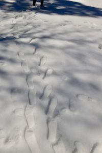 High angle view of snow covered land