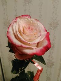 Close-up of rose bouquet