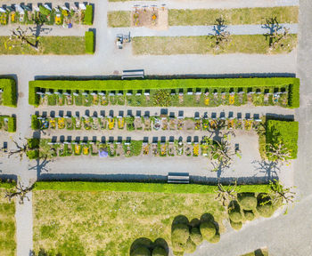 High angle view of agricultural field