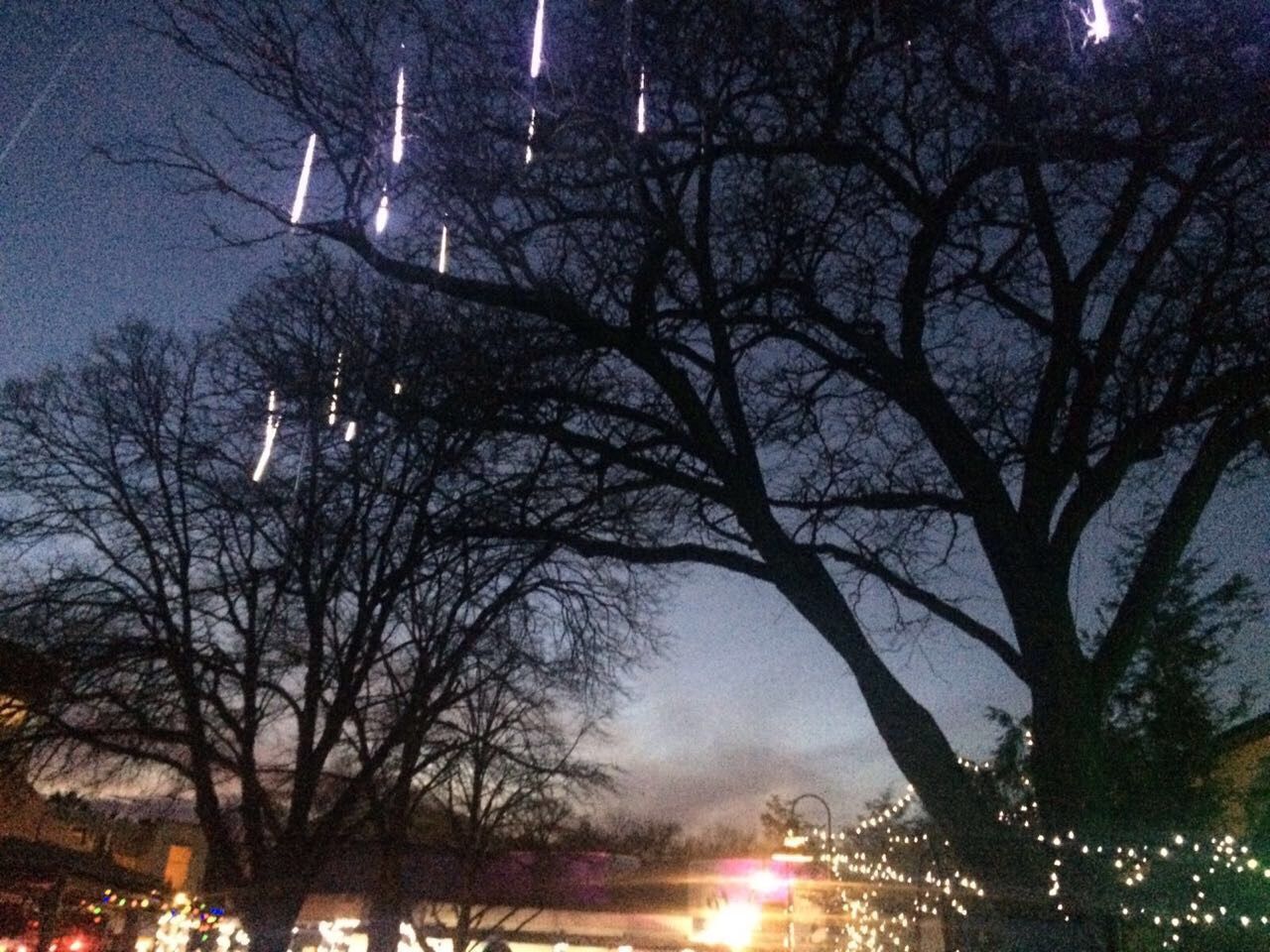 tree, bare tree, night, illuminated, sky, building exterior, city, built structure, low angle view, growth, outdoors, branch, no people, silhouette, nature, city life, architecture, star - space, beauty in nature, astronomy