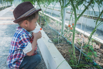 Side view of boy watering tomatoes growing in greenhouse