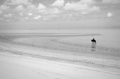 Mid distant view of person riding horse at beach against sky