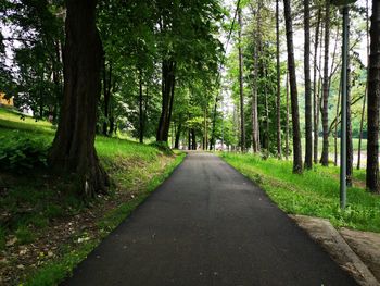 Road amidst trees in forest