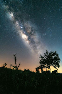 Low angle view of silhouette trees against sky at night
