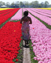 Rear view of woman standing amidst flowers on land