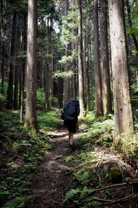 Woman walking in forest