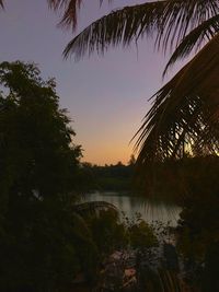 Silhouette trees by lake against sky at sunset