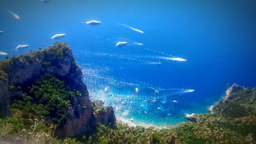 Aerial view of sea and trees against blue sky